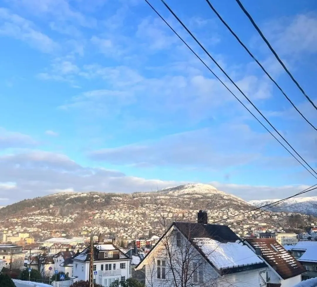 Spacious And Beautiful Apartment In Bergen With Free Parking 0*,