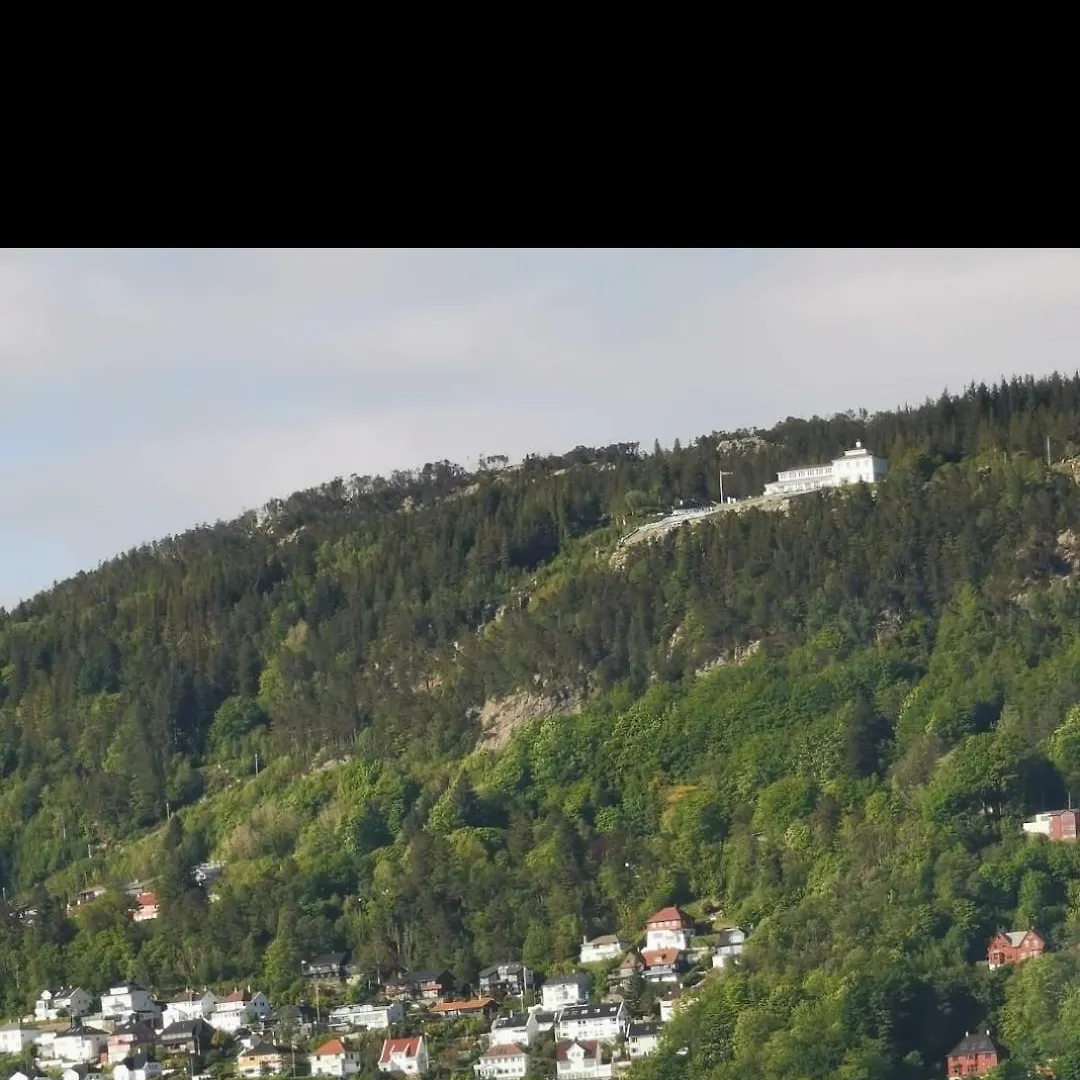 Spacious And Beautiful Apartment In Bergen With Free Parking